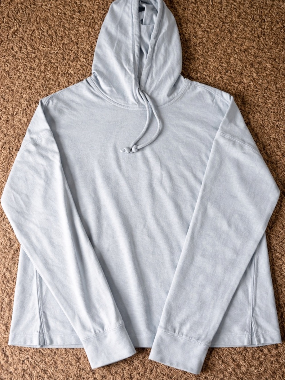 Everlane Men's Light Blue Crewneck Hooded Sweater